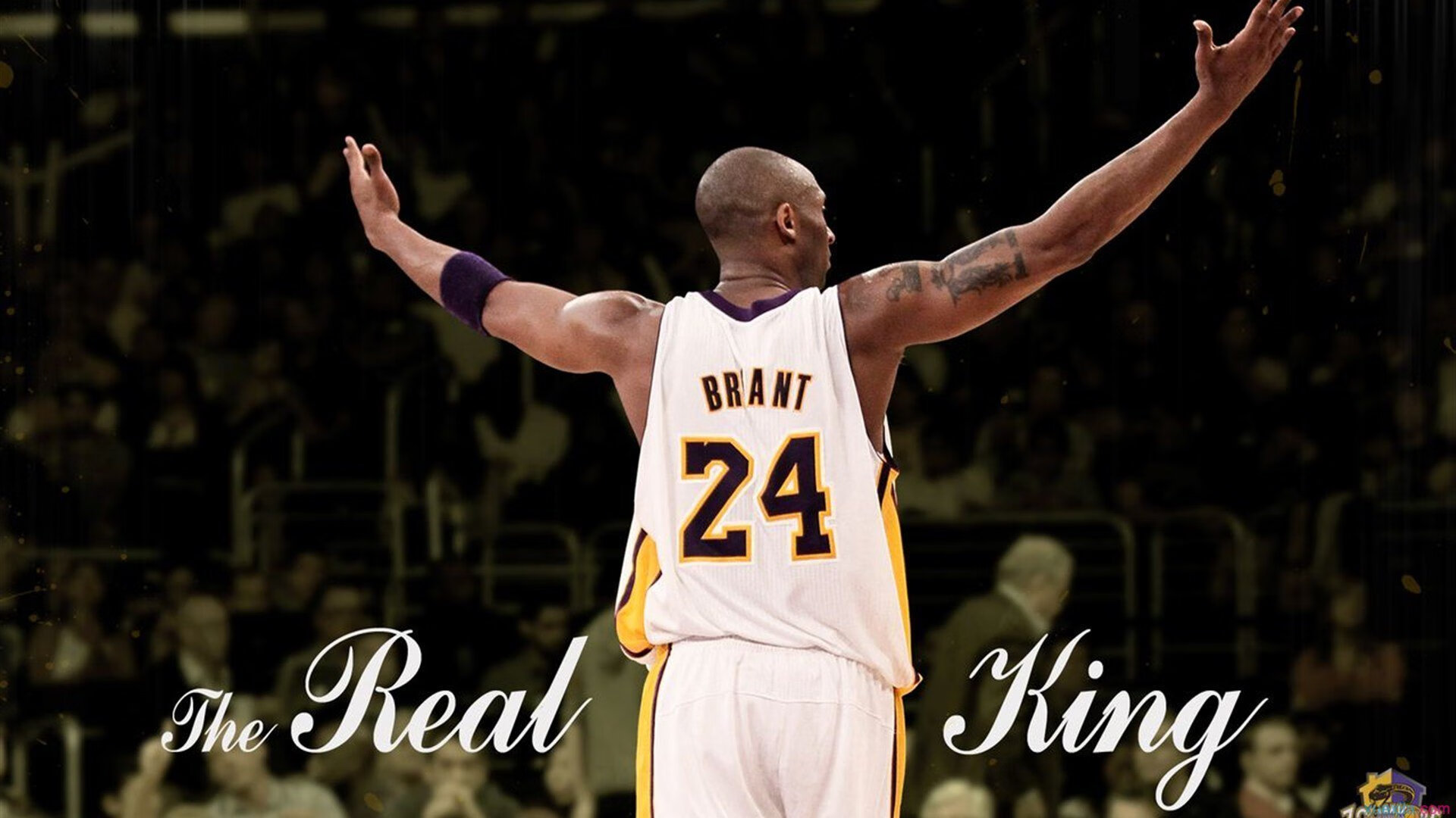 爱游戏平台-“彼得森的非凡表现助南非羚羊队破纪录创佳绩”